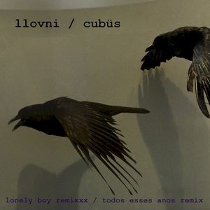 Lonelly Boy Remixxx / Todos Esses Anos Remix (EP)