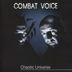 Chaotic Universe
