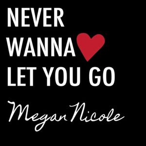 Never Wanna Let You Go (Single)