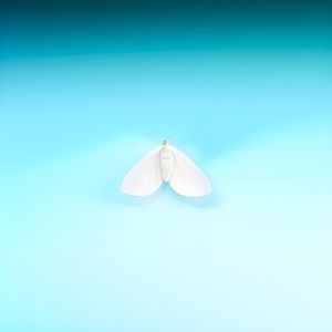 Мотылёк (Single)