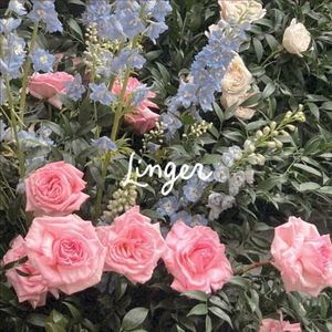Linger (Acoustic) (Single)