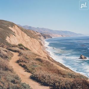 perceptions (Single)