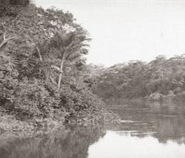 image-https://media.senscritique.com/media/000022721202/0/amazonas_maior_rio_do_mundo.jpg