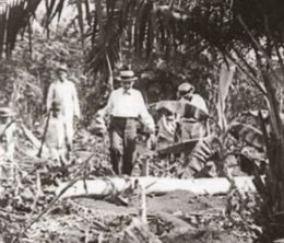 image-https://media.senscritique.com/media/000022721203/0/amazonas_maior_rio_do_mundo.jpg