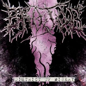 DISTRICT OF MISERY (Single)