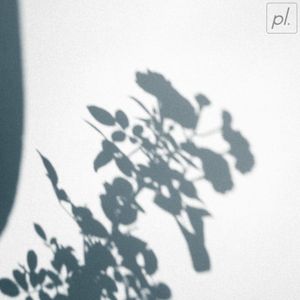 cycles (Single)