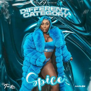 Different Category (Single)