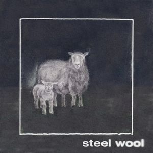 Steel Wool (EP)