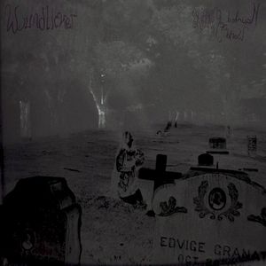 Haunted World Of Mirrors