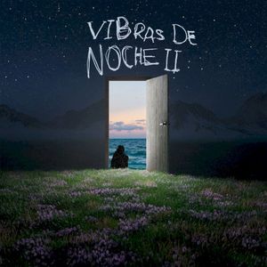 Vibras De Noche II