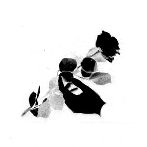 fragments (Single)