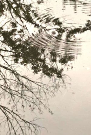 Walden