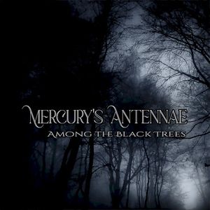 Among the Black Trees