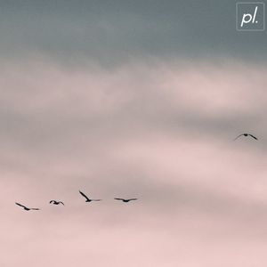 Flying a Kite (Single)