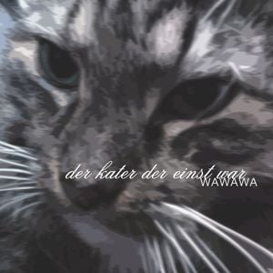 der kater der einst war