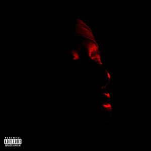 In Case You Were Wondering