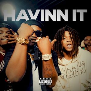 Havinn It (Single)