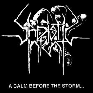 A Calm Before the Storm… (Single)