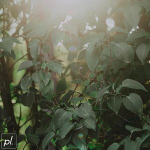 Breaking Light (Single)