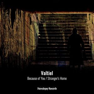 Because Of You / Stranger's Home (Single)