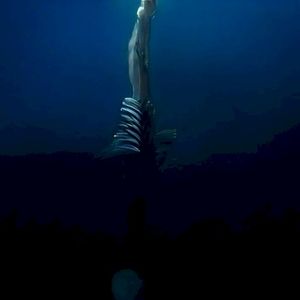 feeling less than percussive (Single)