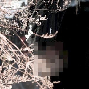 die tomorrow (Single)