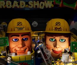 image-https://media.senscritique.com/media/000022731060/0/pinball_fx_williams_pinball_volume_4.jpg