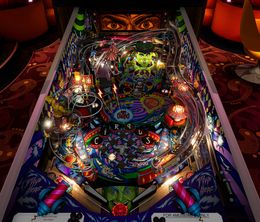 image-https://media.senscritique.com/media/000022731130/0/pinball_fx_williams_pinball_volume_5.jpg