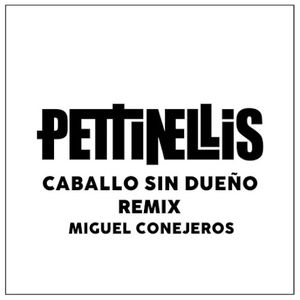 Caballo sin dueño (Remix)