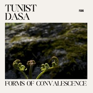 Forms of Convalescence (EP)
