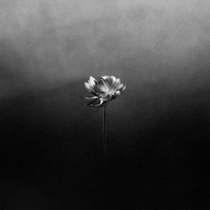 Free (Single)