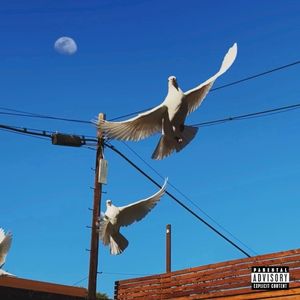 your name forever (Single)