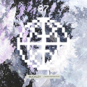 Bonkers Dub / Hype (Funk) (Single)