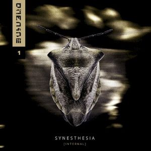 SYNESTHESIA [INTERNAL] (EP)