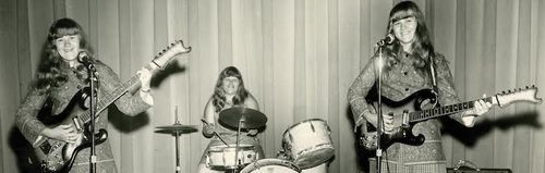 Cover The Shaggs