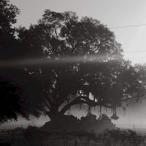 Comforting//CØL (EP)