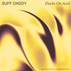 Ducks on Acid (Single)
