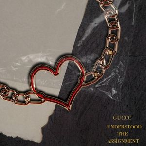 Understood the Assignment (Single)