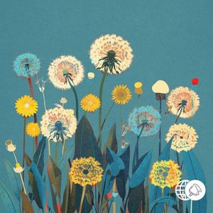 Dandelions (Single)