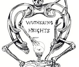 image-https://media.senscritique.com/media/000022742321/0/wuthering_heights.jpg