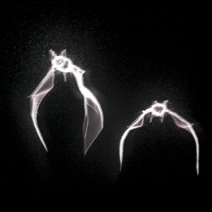 SHATTER (Single)
