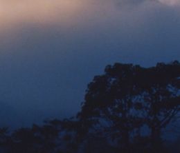image-https://media.senscritique.com/media/000022743549/0/merapi.jpg