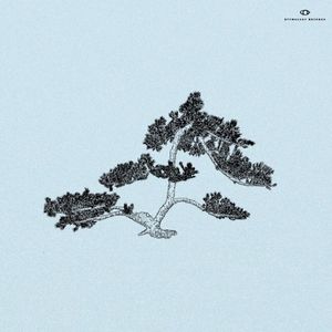 Juniper (Single)