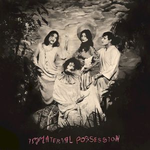 Immaterial possession