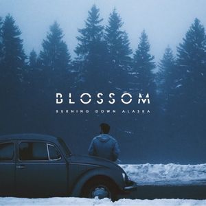 Blossom (Single)
