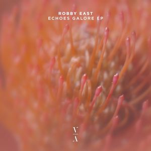Echoes Galore EP (EP)