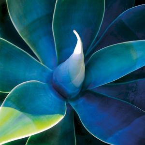 Azur (Single)