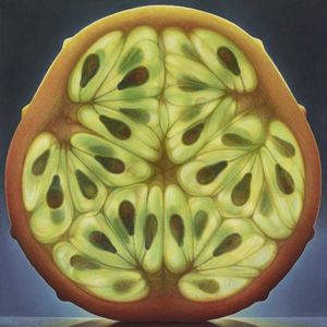 Late Night City Hawks