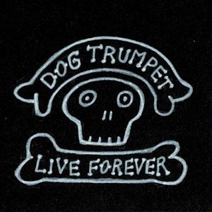 Live Forever (Single)