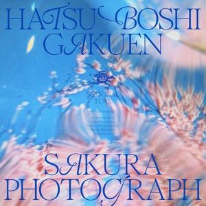 桜フォトグラフ